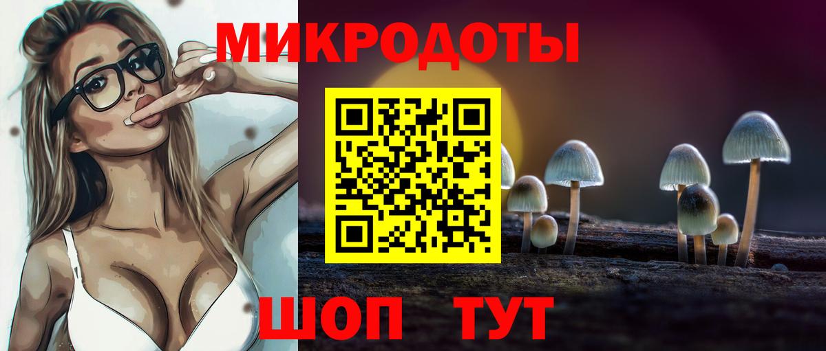 Псилоцибиновые грибы Cubensis  как найти наркотики  Ачхой-Мартан  Вход с VPN 